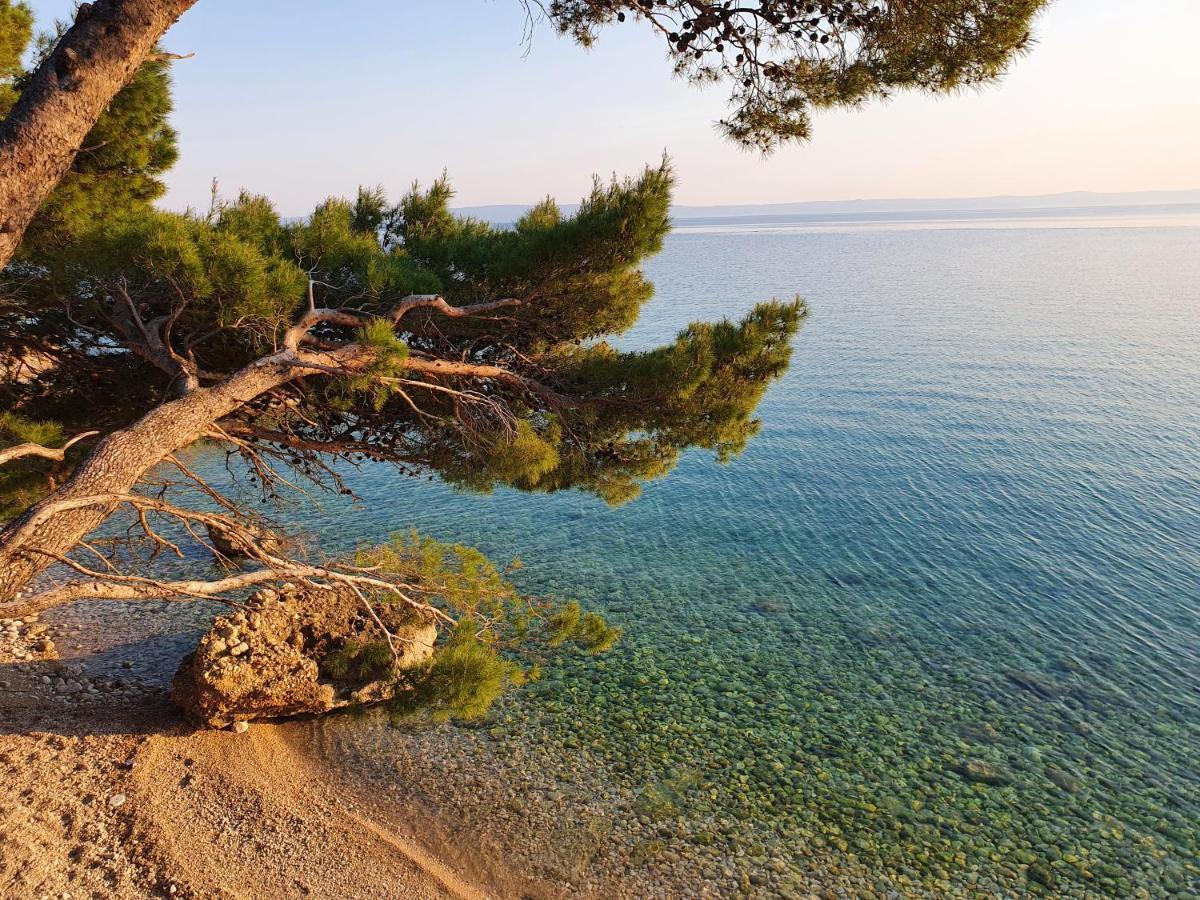 Villa La Vita Baska Voda Bagian luar foto