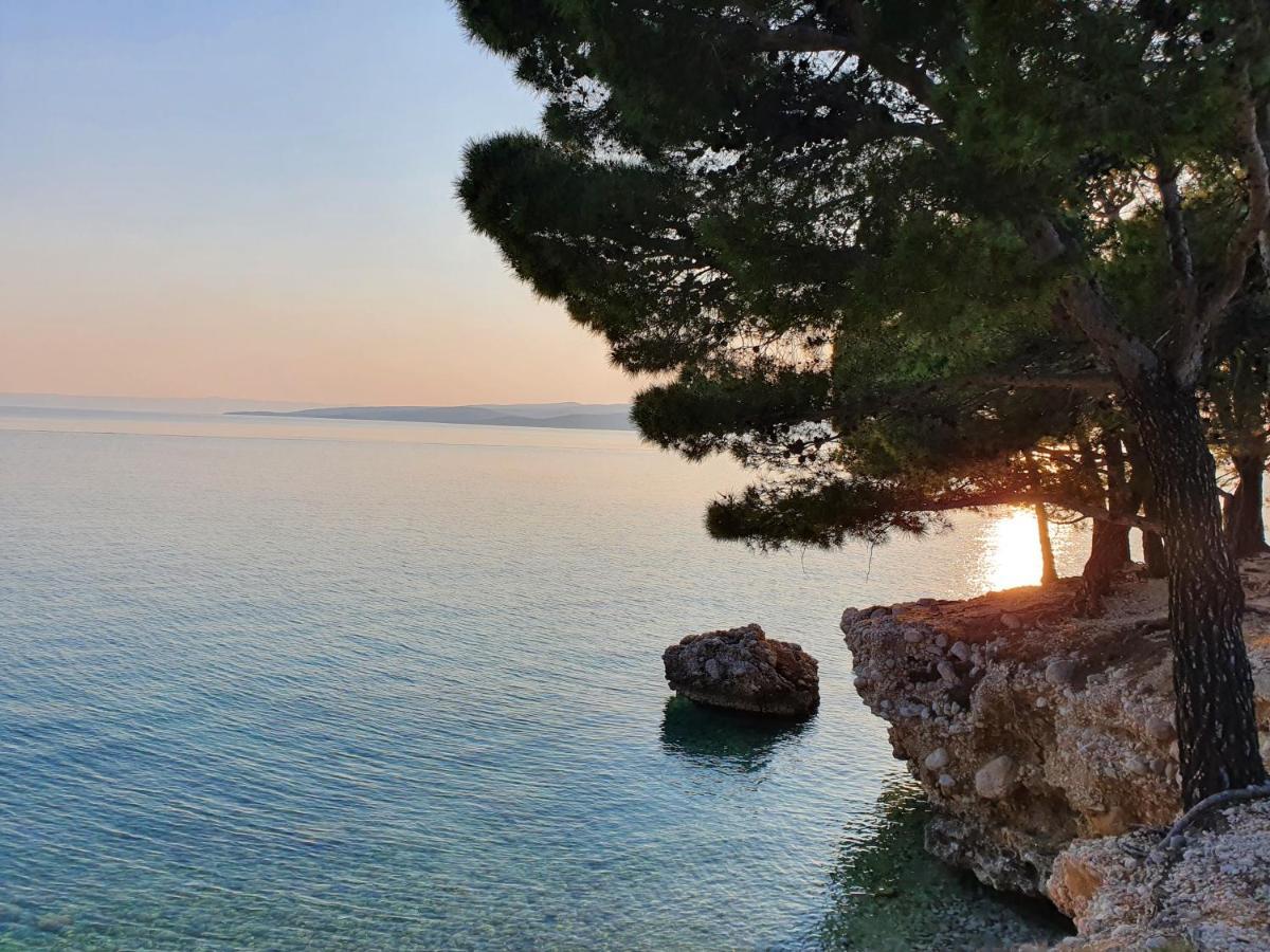Villa La Vita Baska Voda Bagian luar foto